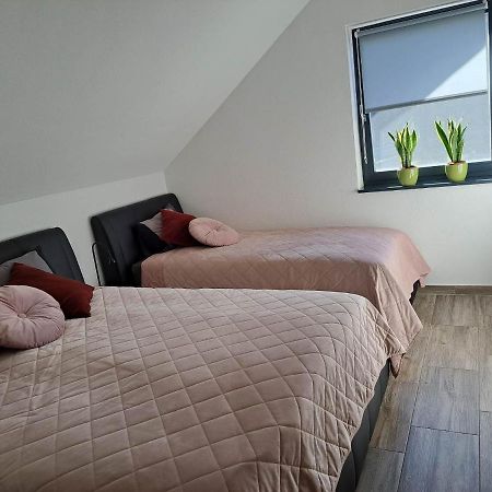 Apartmaji Tisa In Zana Rovte Bagian luar foto