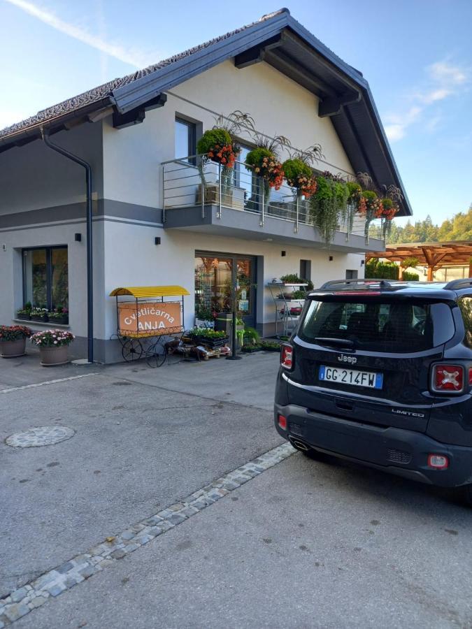 Apartmaji Tisa In Zana Rovte Bagian luar foto