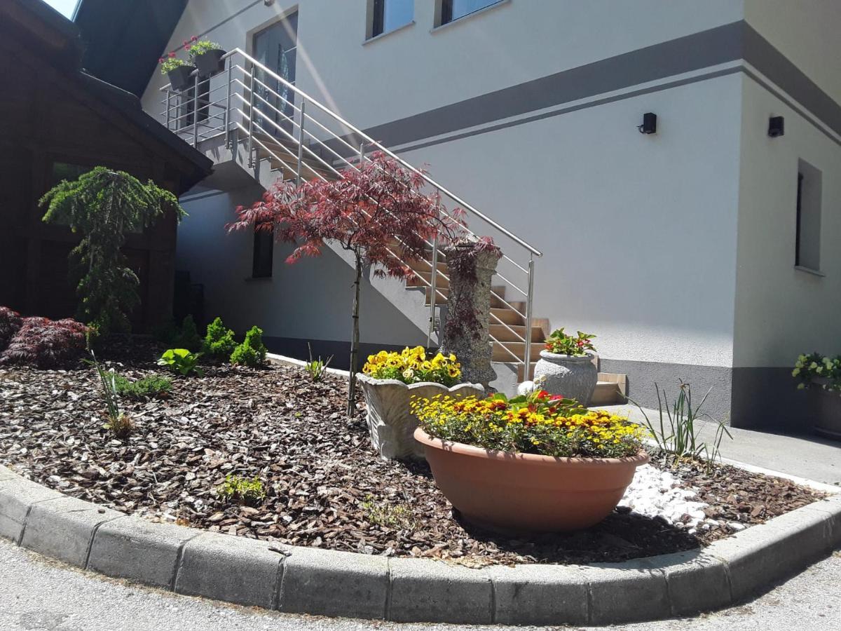 Apartmaji Tisa In Zana Rovte Bagian luar foto