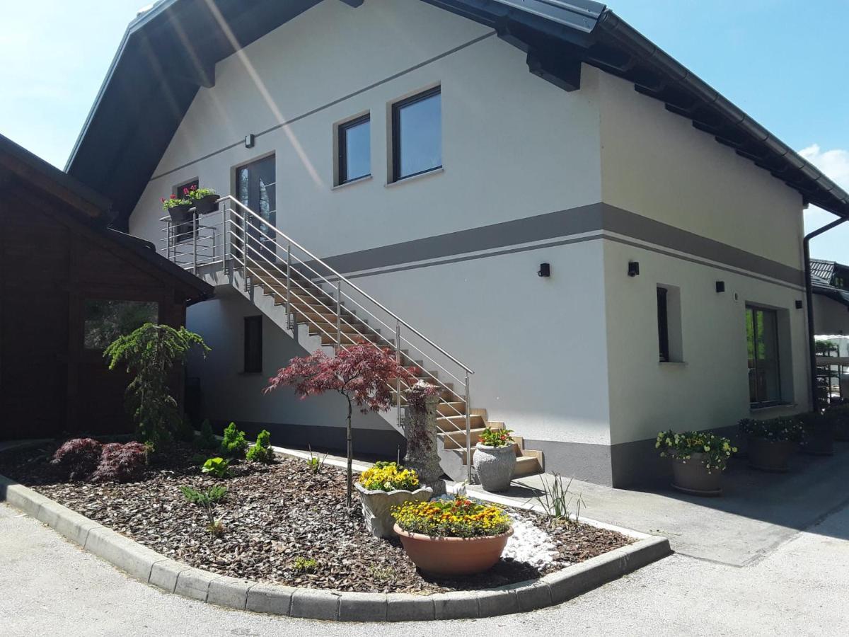 Apartmaji Tisa In Zana Rovte Bagian luar foto