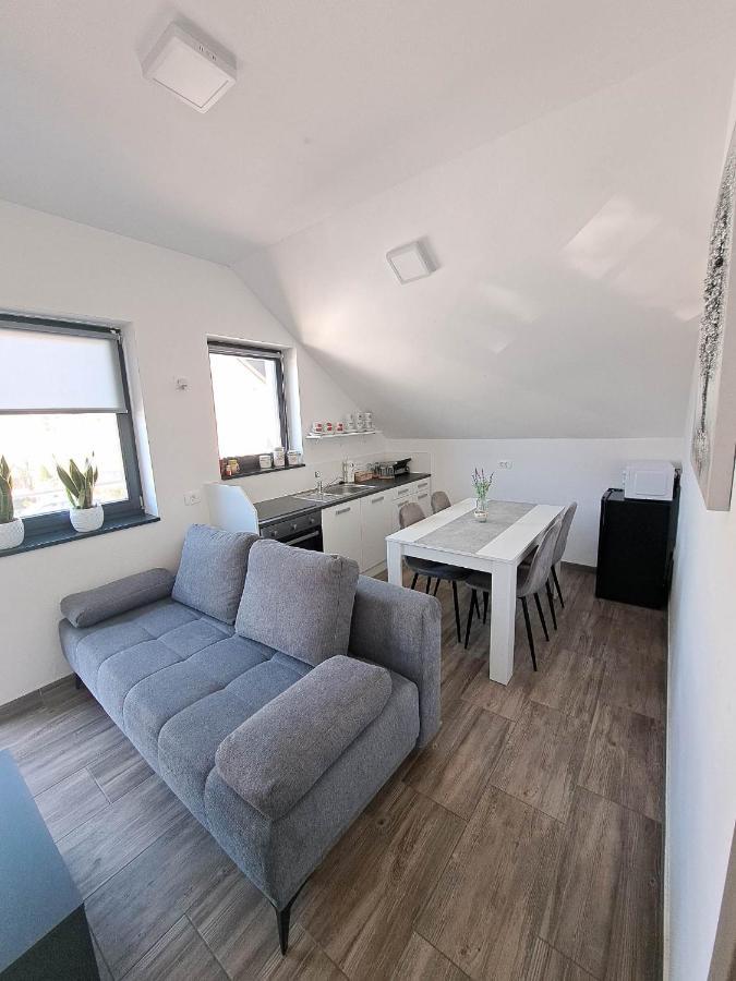 Apartmaji Tisa In Zana Rovte Bagian luar foto