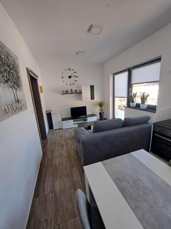 Apartmaji Tisa In Zana Rovte Bagian luar foto