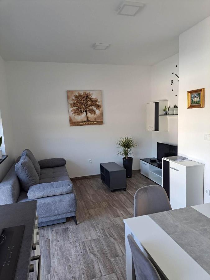 Apartmaji Tisa In Zana Rovte Bagian luar foto
