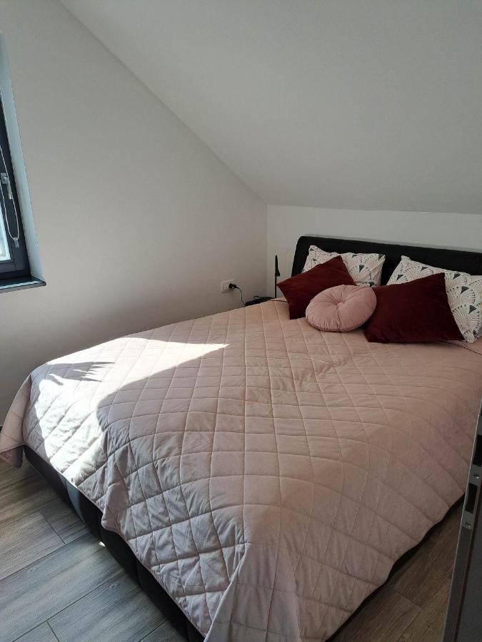 Apartmaji Tisa In Zana Rovte Bagian luar foto