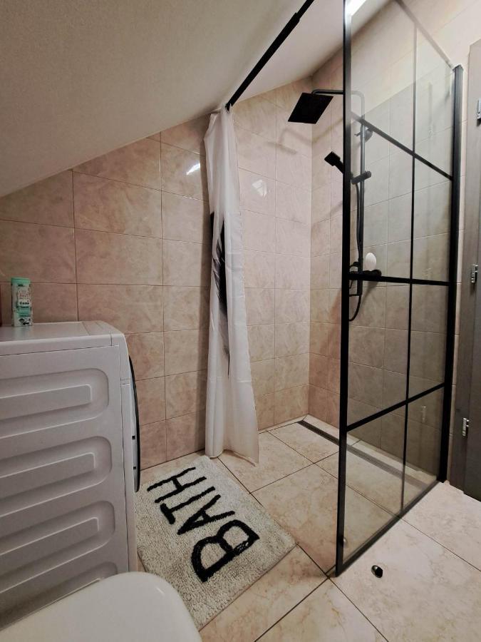 Apartmaji Tisa In Zana Rovte Bagian luar foto
